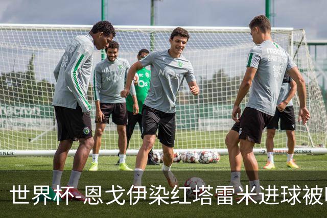世界杯-恩戈伊染红塔雷米进球被吹 10人比利时0-0伊朗